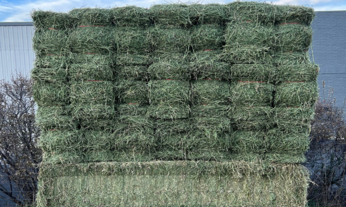 Hay and bedding