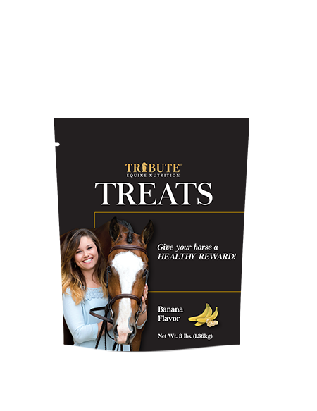 Tribute Banana Horse Treats (3 Lb.)