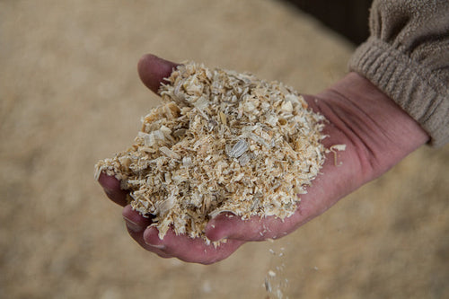 Saratoga Forest Management Wood Shavings