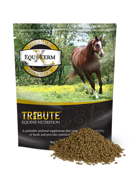 Tribute Equi-Ferm XL® (7.5 Lb.)