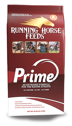 Running Horse® Prime (40 lb)